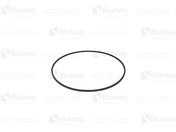 4780048 OR RING SEAL