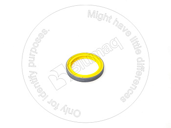 2313540 ST САЛЬНИК