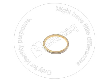 3816561891 OR САЛЬНИК
