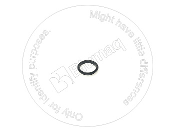 1010384 ST САЛЬНИК