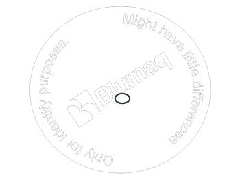 0965783 ST О-Кольцо