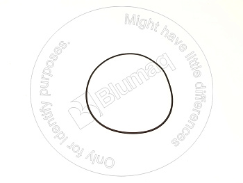 VOE997790 ST КОЛЬЦО КРУГЛОГО СЕЧЕНИЯ