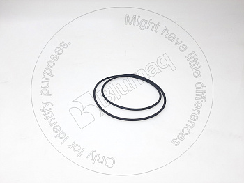 5341606 ST КОЛЬЦО КРУГЛОГО СЕЧЕНИЯ