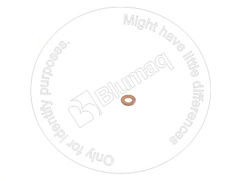 0120394 OE ШАЙБА