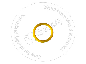 0700072022 ST КОЛЬЦО КРУГЛОГО СЕЧЕНИЯ