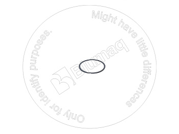 646005 DE КОЛЬЦО