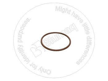 5S9134 ST КОЛЬЦО КРУГЛОГО СЕЧЕНИЯ