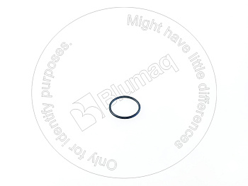 389307915R1 OR КОЛЬЦО КРУГЛОГО СЕЧЕНИЯ