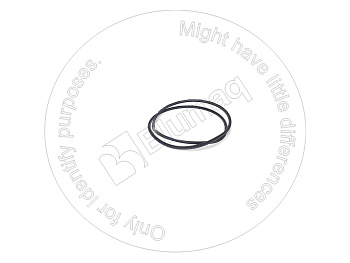 VOE11989815 BQ САЛЬНИК
