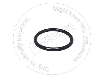 0983973 BQ УПЛОТНИТЕЛЬНОЕ КОЛЬЦО