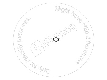 0289611012 ST КОЛЬЦО КРУГЛОГО СЕЧЕНИЯ