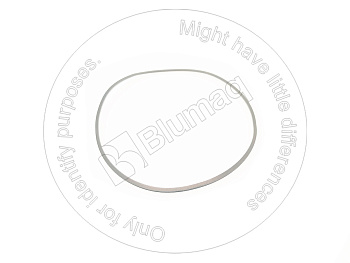 4910386M1 OE КОЛЬЦО