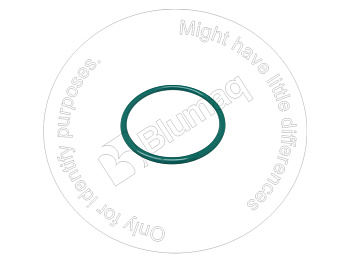 VOE15163635 OR КОЛЬЦО КРУГЛОГО СЕЧЕНИЯ