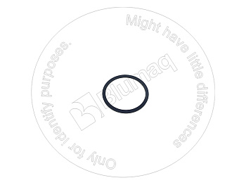 6V1557 OE КОЛЬЦО КРУГЛОГО СЕЧЕНИЯ