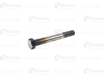 BQ103525687 BQ BOLT HEX