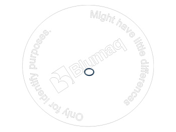 VOE6609946 ST КОЛЬЦО КРУГЛОГО СЕЧЕНИЯ
