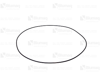 5613381850 OR O-RING