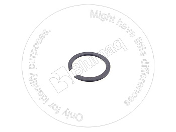 1H8647 ST КОЛЬЦО