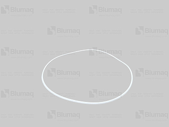 1650507 BQ RING-SEAL