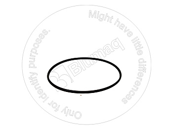 2050191 ST САЛЬНИК