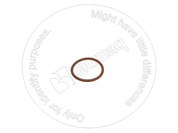 2454908 ST КОЛЬЦО КРУГЛОГО СЕЧЕНИЯ