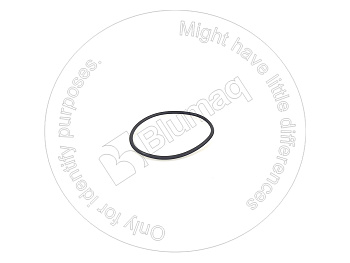 BQ3256635 BQ КОЛЬЦО КРУГЛОГО СЕЧЕНИЯ