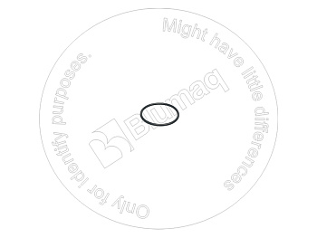 0944903 ST КОЛЬЦО КРУГЛОГО СЕЧЕНИЯ