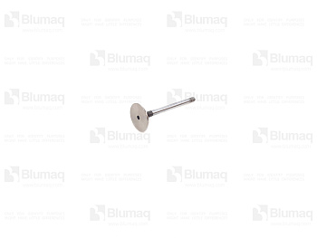 1763134 ST VALVE-INLE