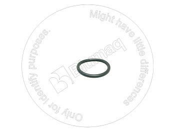 2555594 ST КОЛЬЦО КРУГЛОГО СЕЧЕНИЯ