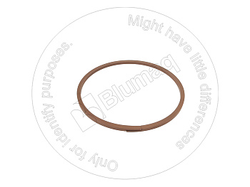 0701831907 BQ КОЛЬЦО КРУГЛОГО СЕЧЕНИЯ