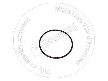 0774871 ST КОЛЬЦО КРУГЛОГО СЕЧЕНИЯ