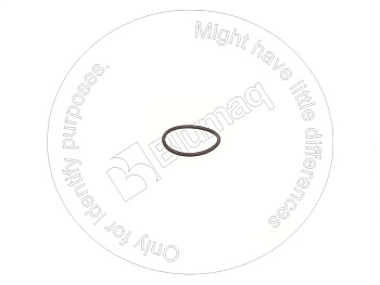 1107753 ST КОЛЬЦО КРУГЛОГО СЕЧЕНИЯ