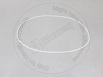 5611579220 BQ RING