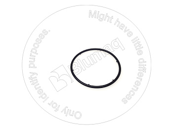 6205615420 OE КОЛЬЦО КРУГЛОГО СЕЧЕНИЯ