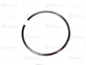 4377162 OE RING-PISTO