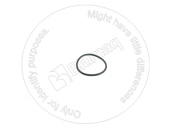 4J8268 ST КОЛЬЦО КРУГЛОГО СЕЧЕНИЯ