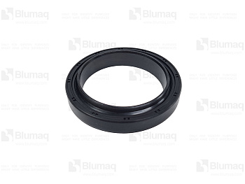 0969519 OR САЛЬНИК