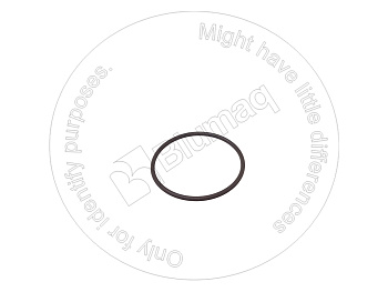 VOE13949762 ST КОЛЬЦО КРУГЛОГО СЕЧЕНИЯ