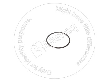 0782010 ST КОЛЬЦО КРУГЛОГО СЕЧЕНИЯ