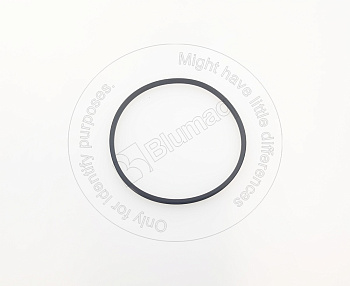 0773754 ST КОЛЬЦО