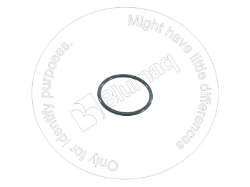 6743519950 OE КОЛЬЦО КРУГЛОГО СЕЧЕНИЯ