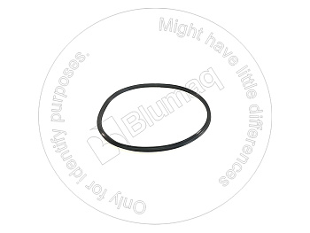 R913066575 ST Х КОЛЬЦО