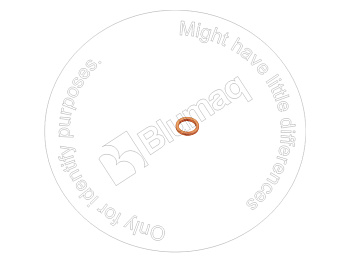 3098006 OE ШАЙБА