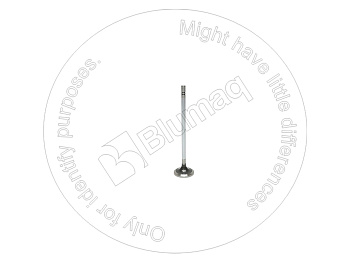 2365605 BQ КЛАПАН ВПУСКНОЙ