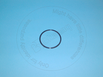 5S6979 ST КОЛЬЦО УПЛОТНИТЕЛЬНОЕ
