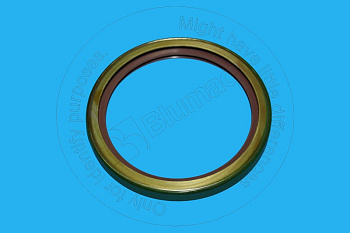 2112129 ST САЛЬНИК