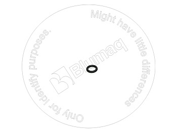 6F1069 ST КОЛЬЦО КРУГЛОГО СЕЧЕНИЯ