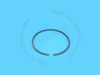 8W5417 ST СЕГМЕНТ