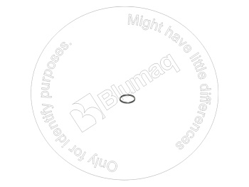 0779788 ST КОЛЬЦО КРУГЛОГО СЕЧЕНИЯ