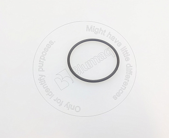 0619457 ST КОЛЬЦО КРУГЛОГО СЕЧЕНИЯ